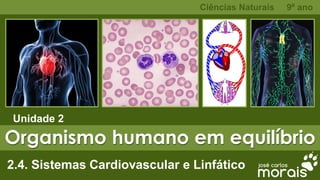 Organismo humano em equilíbrio
Unidade 2
Ciências Naturais 9º ano
2.4. Sistemas Cardiovascular e Linfático
 