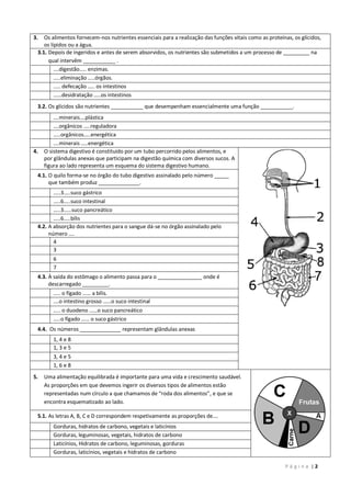 P á g i n a | 2
3. Os alimentos fornecem-nos nutrientes essenciais para a realização das funções vitais como as proteínas, os glícidos,
os lípidos ou a água.
3.1. Depois de ingeridos e antes de serem absorvidos, os nutrientes são submetidos a um processo de _________ na
qual intervêm ___________ .
….digestão….. enzimas.
…..eliminação …..órgãos.
….. defecação ….. os intestinos
……desidratação …..os intestinos
3.2. Os glícidos são nutrientes ___________ que desempenham essencialmente uma função ___________.
….minerais….plástica
….orgânicos …..reguladora
…..orgânicos…..energética
….minerais …..energética
4. O sistema digestivo é constituído por um tubo percorrido pelos alimentos, e
por glândulas anexas que participam na digestão química com diversos sucos. A
figura ao lado representa um esquema do sistema digestivo humano.
4.1. O quilo forma-se no órgão do tubo digestivo assinalado pelo número _____
que também produz ______________.
…..3…..suco gástrico
…..6…..suco intestinal
…..3……suco pancreático
…..6…..bílis
4.2. A absorção dos nutrientes para o sangue dá-se no órgão assinalado pelo
número ….
4
3
6
7
4.3. À saída do estômago o alimento passa para o _______________ onde é
descarregado _________.
….. o fígado …… a bílis.
….o intestino grosso ……o suco intestinal
….. o duodeno ……o suco pancreático
…..o fígado …… o suco gástrico
4.4. Os números ______________ representam glândulas anexas
1, 4 e 8
1, 3 e 5
3, 4 e 5
1, 6 e 8
5. Uma alimentação equilibrada é importante para uma vida e crescimento saudável.
As proporções em que devemos ingerir os diversos tipos de alimentos estão
representadas num círculo a que chamamos de “roda dos alimentos”, e que se
encontra esquematizado ao lado.
5.1. As letras A, B, C e D correspondem respetivamente as proporções de….
Gorduras, hidratos de carbono, vegetais e laticínios
Gorduras, leguminosas, vegetais, hidratos de carbono
Laticínios, Hidratos de carbono, leguminosas, gorduras
Gorduras, laticínios, vegetais e hidratos de carbono
 
