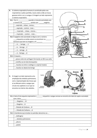 P á g i n a | 4
8. O sistema respiratório humano é constituído pelas vias
respiratórias e pelos pulmões, locais onde se dão as trocas
gasosas entre o ar e o sangue. A imagem ao lado representa
o sistema respiratório.
8.1. O ar é _____________quando o músculo assinalado com
o número 10 __________ saindo com ______oxigénio.
….expirado….relaxa….menos…
…..expirado….contrai….mais….
……inspirado…..relaxa….menos….
…..inspirado…..contrai…..mais…..
8.2. A epiglote está assinalada na figura com o número
____enquanto as cordas vocais se encontram na ______,
estrutura que tem na imagem o nº _______
…..4……..laringe…….1
…..6……faringe…..2
…..2……laringe…..6
…..2…..faringe……6
8.3. A traqueia…..
…possui anéis de cartilagem formando um O à sua volta
…ramifica-se em dois bronquíolos
….localiza-se entre o esófago e a espinal medula
….localiza-se abaixo da laringe
9. A imagem ao lado representa uma
ampliação dos alvéolos pulmonares,
com a representação das trocas que
aí se efetuam entre o sangue que
circula nos capilares e o ar que se
encontra no interior dos alvéolos.
9.1. A letra X do esquema representa o _______ enquanto o sangue venoso se encontra do lado do capilar assinalado
com a letra ______.
……Oxigénio…….B
…..Oxigénio…..A
….Dióxido de Carbono…..B
…..Dióxido de Carbono…..A
9.2. A membrana que envolve os pulmões denomina-se…..
….diafragma
…..alvéolos pulmonares
….pleura
….palato
 