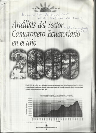 Cna 2001   analisis del sector camaronero