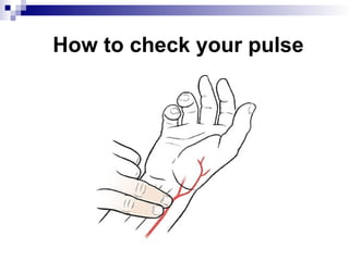 How to check your pulse
 