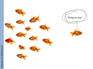 Open educational practices beyond
MOOCland? They do exist. But why do we
seem to ignore them?
“Bigger is better!” Is it really?
“Size matters!” If
it does, what do
we do about it?
One size
doesn’t fit all!
Remember?
debating
 