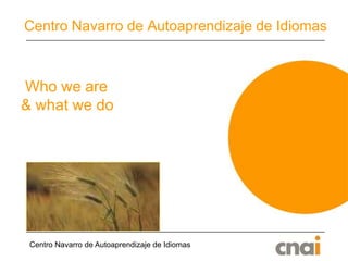 Centro Navarro de Autoaprendizaje de Idiomas Centro Navarro de Autoaprendizaje de Idiomas  Who we are & what we do 