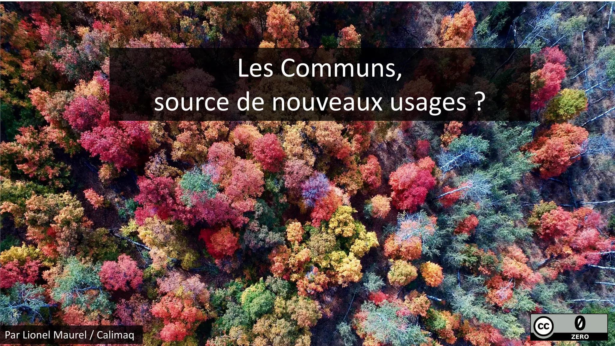 Les Communs,
source de nouveaux usages ?
Par Lionel Maurel / Calimaq
 