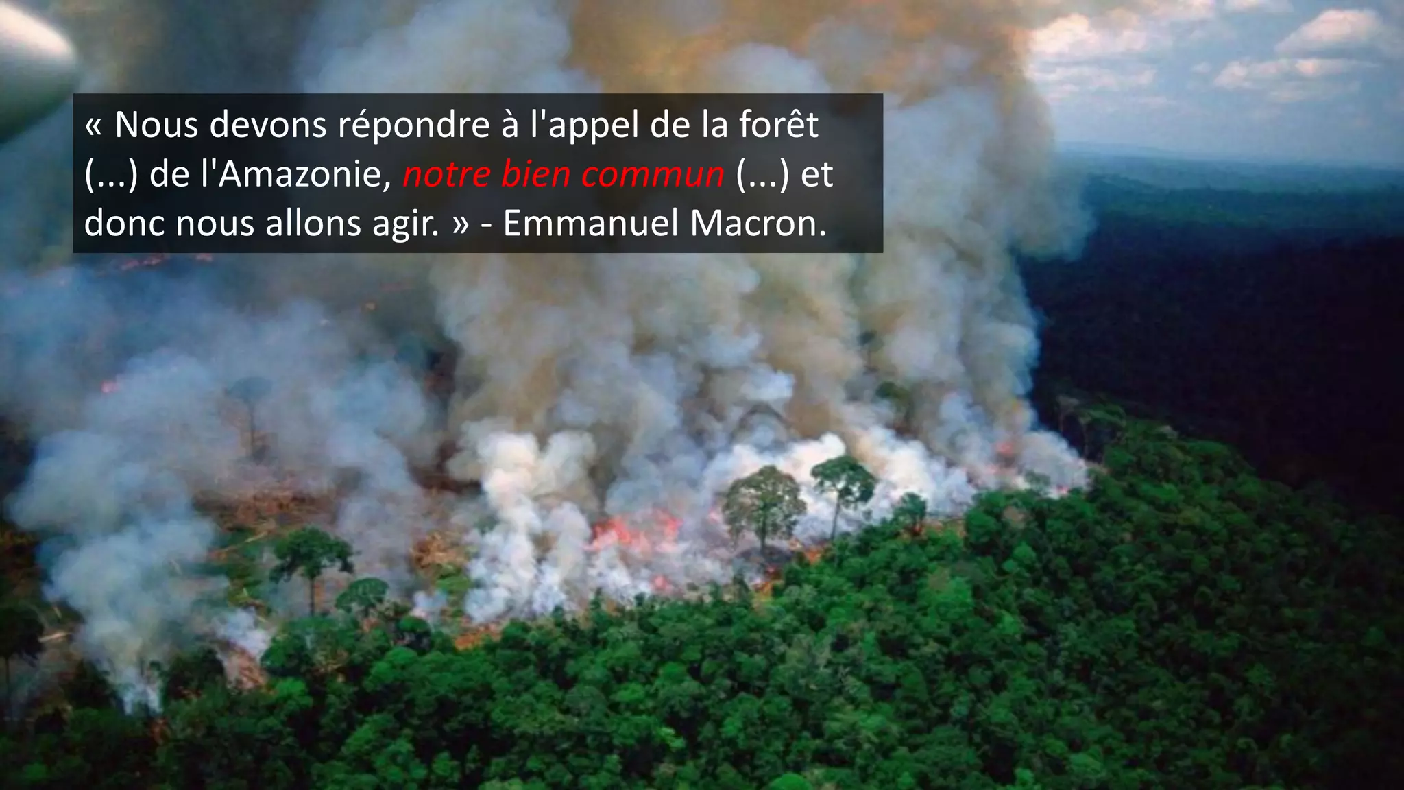 « Nous devons répondre à l'appel de la forêt
(...) de l'Amazonie, notre bien commun (...) et
donc nous allons agir. » - Emmanuel Macron.
 