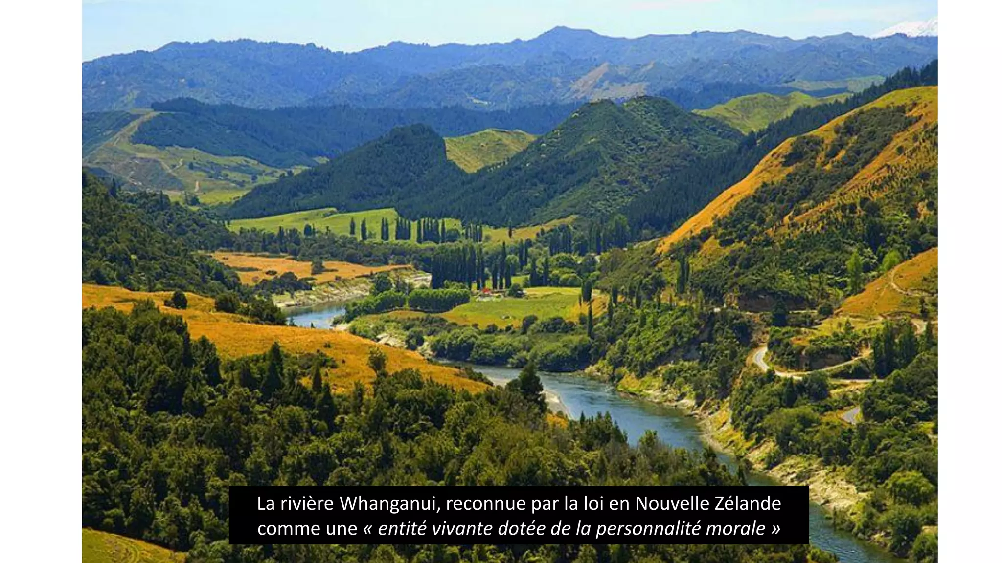 La rivière Whanganui, reconnue par la loi en Nouvelle Zélande
comme une « entité vivante dotée de la personnalité morale »
 