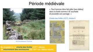 Période médiévale
Par Chris Wimbush. CC-BY-SA
En Angleterre, la charte des forêts (13ème siècle),
le mouvement des enclosures (du 15ème au 18ème siècle)
« Tout homme libre fait gîter [ses bêtes]
dans la forêt comme il le souhaite
et possède son panage. »
Charte des forêts (1217). Article 9
 