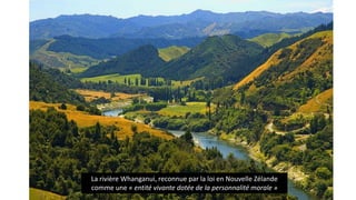 La rivière Whanganui, reconnue par la loi en Nouvelle Zélande
comme une « entité vivante dotée de la personnalité morale »
 