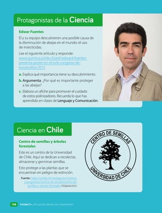 Ciencia en Chile
Protagonistas de la Ciencia
Edwar Fuentes
Él y su equipo descubrieron una posible causa de
la disminución de abejas en el mundo: el uso
de insecticidas.
Lee el siguiente artículo y responde:
www.quimica.uchile.cl/prof-edward-fuentes-
presenta-poster-en-el-xviii-congreso-de-
euroanalisis-2015
a. Explica qué importancia tiene su descubrimiento.
b.Argumenta. ¿Por qué es importante proteger
a las abejas?
c. Elabora un afiche para promover el cuidado
de estos polinizadores. Recuerda lo que has
aprendido en clases de Lenguaje y Comunicación.
Centro de semillas y árboles
forestales
Este es un centro de la Universidad
de Chile. Aquí se dedican a recolectar,
almacenar y germinar semillas.
Esto protege a las plantas que se
encuentran en peligro de extinción.
Fuente: https://uchile.cl/investigacion/centros-
y-programas/centros-de-estudio/centro-de-
semillas-y-arboles-forestales (Adaptación).
108 Unidad 3 • ¿Por qué las plantas son importantes?
 