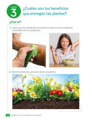 1. ¿Qué uso se les está dando a las plantas en cada una de las imágenes?
Coméntalo con tus compañeros.
2. Menciona otros dos usos que le darías a las plantas.
¿Qué sé?
¿Cuáles son los beneficios
que entregan las plantas?
3
Lección
Unidad 3 • ¿Por qué las plantas son importantes?
110
 