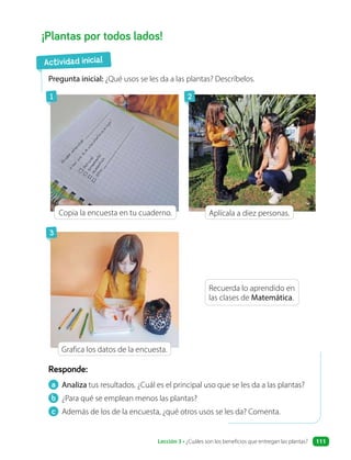 ¡Plantas por todos lados!
a Analiza tus resultados. ¿Cuál es el principal uso que se les da a las plantas?
b ¿Para qué se emplean menos las plantas?
c Además de los de la encuesta, ¿qué otros usos se les da? Comenta.
Responde:
Pregunta inicial: ¿Qué usos se les da a las plantas? Descríbelos.
Copia la encuesta en tu cuaderno.
Grafica los datos de la encuesta.
Recuerda lo aprendido en
las clases de Matemática.
Aplícala a diez personas.
Actividad inicial
1
3
2
Lección 3 • ¿Cuáles son los beneficios que entregan las plantas? 111
 