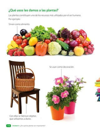 ¿Qué usos les damos a las plantas?
Las plantas constituyen uno de los recursos más utilizados por el ser humano.
Por ejemplo:
Con ellas se fabrican objetos
que utilizamos a diario.
Sirven como alimento.
Se usan como decoración.
Unidad 3 • ¿Por qué las plantas son importantes?
112
 