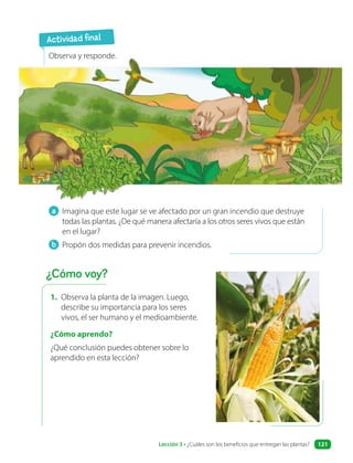 1. Observa la planta de la imagen. Luego,
describe su importancia para los seres
vivos, el ser humano y el medioambiente.
¿Cómo aprendo?
¿Qué conclusión puedes obtener sobre lo
aprendido en esta lección?
a Imagina que este lugar se ve afectado por un gran incendio que destruye
todas las plantas. ¿De qué manera afectaría a los otros seres vivos que están
en el lugar?
b Propón dos medidas para prevenir incendios.
Actividad final
¿Cómo voy?
Observa y responde.
Lección 3 • ¿Cuáles son los beneficios que entregan las plantas? 121
 