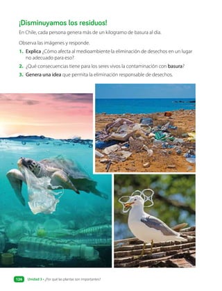 En Chile, cada persona genera más de un kilogramo de basura al día.
¡Disminuyamos los residuos!
Observa las imágenes y responde.
1. Explica ¿Cómo afecta al medioambiente la eliminación de desechos en un lugar
no adecuado para eso?
2. ¿Qué consecuencias tiene para los seres vivos la contaminación con basura?
3. Genera una idea que permita la eliminación responsable de desechos.
Unidad 3 • ¿Por qué las plantas son importantes?
126
 
