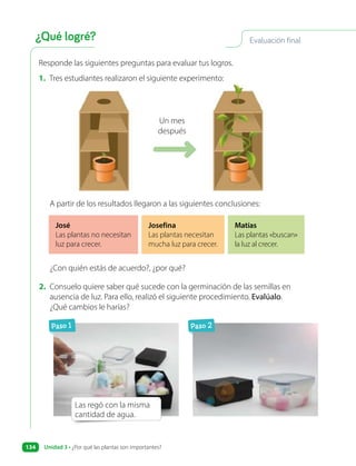 Responde las siguientes preguntas para evaluar tus logros.
1. Tres estudiantes realizaron el siguiente experimento:
José
Las plantas no necesitan
luz para crecer.
Josefina
Las plantas necesitan
mucha luz para crecer.
Matías
Las plantas «buscan»
la luz al crecer.
A partir de los resultados llegaron a las siguientes conclusiones:
¿Con quién estás de acuerdo?, ¿por qué?
2. Consuelo quiere saber qué sucede con la germinación de las semillas en
ausencia de luz. Para ello, realizó el siguiente procedimiento. Evalúalo.
¿Qué cambios le harías?
Un mes
después
Las regó con la misma
cantidad de agua.
Paso 1 Paso 2
Evaluación final
¿Qué logré?
Unidad 3 • ¿Por qué las plantas son importantes?
134
 