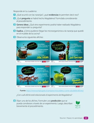 Responde en tu cuaderno:
1 ¿Qué ocurrió con las naranjas?, ¿qué evidencias te permiten decir eso?
2 ¿Qué pregunta se habrá hecho Magdalena? Formúlala considerando
el procedimiento.
3 Genera ideas. ¿Qué otro experimento podría haber realizado Magdalena
para responder su pregunta?
4 Explica. ¿Cómo pudieron llegar los microorganismos a la naranja que quedó
en el mueble de la cocina?
5 Observa los siguientes afiches:
Fuente: https://www.achipia.gob.cl/campana-inocuidate-y-come-saludable/afiches/
¿Con cuál afiche está relacionado el experimento de Magdalena?
6 Elijan uno de los afiches. Formulen una predicción que se
pueda corroborar a través de un experimento. Luego, describan
brevemente el procedimiento. Páginas
70 y 71
Resumen / Repaso mis aprendizajes 161
 