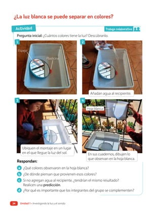 ¿La luz blanca se puede separar en colores?
a ¿Qué colores observaron en la hoja blanca?
b ¿De dónde piensan que provienen esos colores?
c Si no agregan agua al recipiente, ¿tendrían el mismo resultado?
Realicen una predicción.
d ¿Por qué es importante que los integrantes del grupo se complementen?
Respondan:
Pregunta inicial: ¿Cuántos colores tiene la luz? Descúbranlo.
En sus cuadernos, dibujen lo
que observan en la hoja blanca.
Añadan agua al recipiente.
Ubiquen el montaje en un lugar
en el que llegue la luz del sol.
Actividad
Espejo
Plasticina
Hoja blanca
Trabajo colaborativo
1
3
2
4
24 Unidad 1 • Investigando la luz y el sonido
Unidad 1 • Investigando la luz y el sonido
 