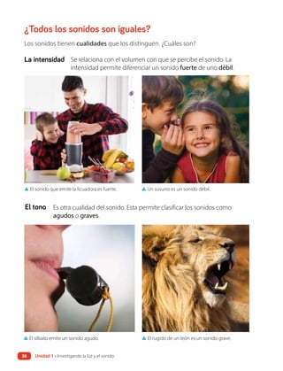 ¿Todos los sonidos son iguales?
Los sonidos tienen cualidades que los distinguen. ¿Cuáles son?
Se relaciona con el volumen con que se percibe el sonido. La
intensidad permite diferenciar un sonido fuerte de uno débil.
Es otra cualidad del sonido. Esta permite clasificar los sonidos como
agudos o graves.
La intensidad
El tono
▲ El silbato emite un sonido agudo. ▲ El rugido de un león es un sonido grave.
▲ El sonido que emite la licuadora es fuerte. ▲ Un susurro es un sonido débil.
Unidad 1 • Investigando la luz y el sonido
36
 
