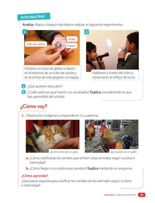 1. Observa las imágenes y responde en tu cuaderno:
▲ Cacareo de un gallo
▲ Ronroneo de un gato
a. ¿Cómo clasificarías los sonidos que emiten estos animales según su tono e
intensidad?
b.¿Cómo llegan a tus oídos esos sonidos? Explica mediante un esquema.
¿Cómo aprendo?
¿Qué pasos seguiste para clasificar los sonidos de los animales según su tono
e intensidad?
a ¿Qué quieren descubrir?
b ¿Cuáles piensas que fueron sus resultados? Explica considerando lo que
has aprendido del sonido.
Analiza. María y Joaquín decidieron realizar el siguiente experimento:
Tubo de cartón
Espejo
Globo
Hablaron a través del tubo y
observaron el reflejo de la luz.
Estiraron un trozo de globo, lo fijaron
en el extremo de un tubo de cartón y
en el centro de este pegaron un espejo.
Actividad final
¿Cómo voy?
1 2
Lección 2 • ¿Qué es el sonido? 39
 