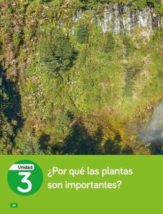 ¿Por qué las plantas
son importantes?
3
Unidad
84
 