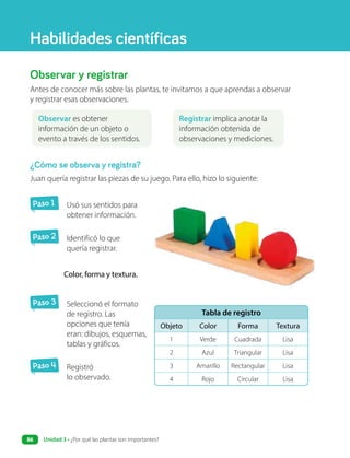 ¿Cómo se observa y registra?
Juan quería registrar las piezas de su juego. Para ello, hizo lo siguiente:
Paso 1 Usó sus sentidos para
obtener información.
Paso 2 Identificó lo que
quería registrar.
Color, forma y textura.
Paso 3 Seleccionó el formato
de registro. Las
opciones que tenía
eran: dibujos, esquemas,
tablas y gráficos.
Paso 4 Registró
lo observado.
Tabla de registro
Objeto Color Forma Textura
1 Verde Cuadrada Lisa
2 Azul Triangular Lisa
3 Amarillo Rectangular Lisa
4 Rojo Circular Lisa
Habilidades científicas
Observar y registrar
Antes de conocer más sobre las plantas, te invitamos a que aprendas a observar
y registrar esas observaciones.
Observar es obtener
información de un objeto o
evento a través de los sentidos.
Registrar implica anotar la
información obtenida de
observaciones y mediciones.
Unidad 3 • ¿Por qué las plantas son importantes?
86
 