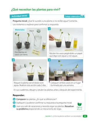 a Comparen las plantas. ¿En qué se diferencian?
b Expliquen si pudieron confirmar su respuesta a la pregunta inicial.
c Juan va a salir de vacaciones y necesita regar sus plantas. Resuelvan
su problema proponiendo un mecanismo de riego.
Respondan:
¿Qué necesitan las plantas para vivir?
Pregunta inicial: ¿Qué le sucede a una planta si no recibe agua? Comenta.
Los invitamos a explorar para confirmar su respuesta.
Rotulen los vasos pegándoles un papel
que diga «con agua» y «sin agua».
Coloquen ambos vasos en un lugar
iluminado por una semana.
Rieguen la planta con el rótulo «con
agua». Realicen esta acción cada 2 días.
En sus cuadernos, dibujen y rotulen las plantas antes y después del experimento.
Materiales
Actividad inicial
Dos plantas en
vasos con tierra.
Agua
1
2 3
Trabajo colaborativo
Páginas
40 y 41
Lección 1 • ¿Cómo las plantas satisfacen sus necesidades? 89
 