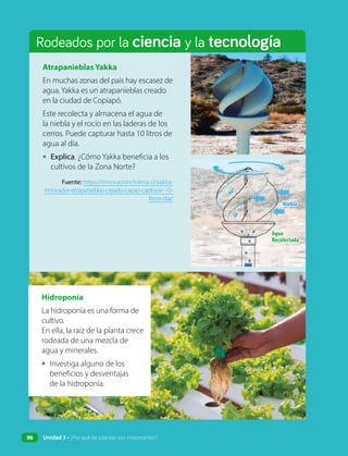 Rodeados por la ciencia y la tecnología
Niebla
Niebla
Agua
Agua
Recolectada
Recolectada
Atrapanieblas Yakka
En muchas zonas del país hay escasez de
agua.Yakka es un atrapanieblas creado
en la ciudad de Copiapó.
Este recolecta y almacena el agua de
la niebla y el rocío en las laderas de los
cerros. Puede capturar hasta 10 litros de
agua al día.
• Explica. ¿Cómo Yakka beneficia a los
cultivos de la Zona Norte?
Fuente: https://innovacionchilena.cl/yakka-
innovador-atrapanieblas-creado-capaz-capturar-10-
litros-dia/
Hidroponía
La hidroponía es una forma de
cultivo.
En ella, la raíz de la planta crece
rodeada de una mezcla de
agua y minerales.
• Investiga alguno de los
beneficios y desventajas
de la hidroponía.
96 Unidad 3 • ¿Por qué las plantas son importantes?
 