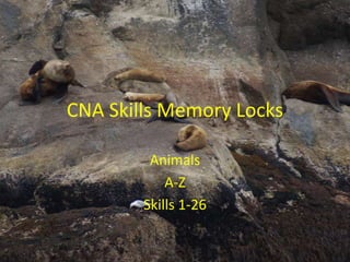 CNA Skills Memory Locks
Animals
A-Z
Skills 1-26

 