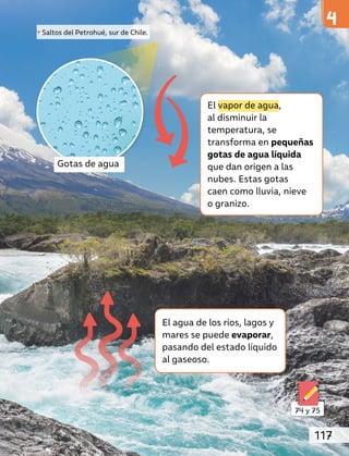 Gotas de agua
74 y 75
El vapor de agua,
al disminuir la
temperatura, se
transforma en pequeñas
gotas de agua líquida
que dan origen a las
nubes. Estas gotas
caen como lluvia, nieve
o granizo.
El agua de los ríos, lagos y
mares se puede evaporar,
pasando del estado líquido
al gaseoso.
Saltos del Petrohué, sur de Chile.
117
 