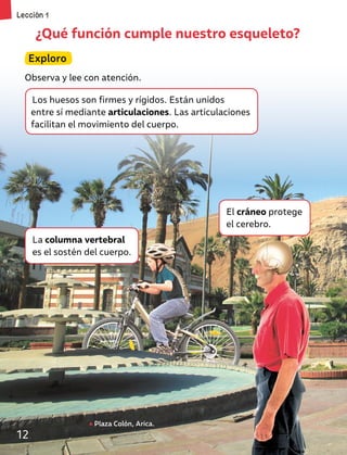 Los huesos son firmes y rígidos. Están unidos
entre sí mediante articulaciones. Las articulaciones
facilitan el movimiento del cuerpo.
¿Qué función cumple nuestro esqueleto?
Exploro
Observa y lee con atención.
Plaza Colón, Arica.
La columna vertebral
es el sostén del cuerpo.
El cráneo protege
el cerebro.
Lección 1
12
 