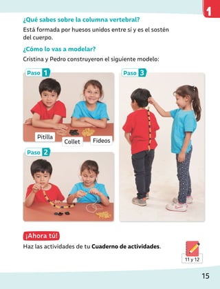 11 y 12
¿Qué sabes sobre la columna vertebral?
Está formada por huesos unidos entre sí y es el sostén
del cuerpo.
¿Cómo lo vas a modelar?
Cristina y Pedro construyeron el siguiente modelo:
¡Ahora tú!
Haz las actividades de tu Cuaderno de actividades.
Paso 1
Paso 2
Paso 3
Pitilla
Collet Fideos
15
 