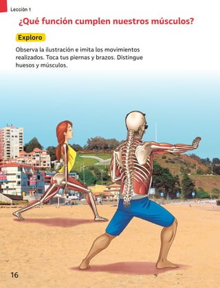 ¿Qué función cumplen nuestros músculos?
Exploro
Observa la ilustración e imita los movimientos
realizados. Toca tus piernas y brazos. Distingue
huesos y músculos.
16
Lección 1
 