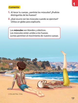 Comento
1. Al tocar tu cuerpo, ¿sentiste los músculos? ¿Pudiste
distinguirlos de los huesos?
2. ¿Qué ocurre con los músculos cuando se ejercitan?
Utiliza un globo para explicarlo.
Viña del Mar, Chile.
Los músculos son blandos y elásticos.
Los músculos están unidos a los huesos.
Juntos permiten el movimiento de nuestro cuerpo.
17
 