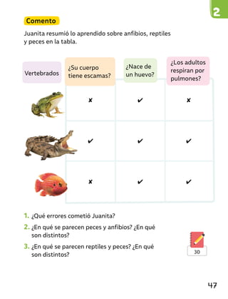 ✘ ✔ ✘
✔ ✔ ✔
✘ ✔ ✔
Comento
Juanita resumió lo aprendido sobre anfibios, reptiles
y peces en la tabla.
1. ¿Qué errores cometió Juanita?
2. ¿En qué se parecen peces y anfibios? ¿En qué
son distintos?
3. ¿En qué se parecen reptiles y peces? ¿En qué
son distintos?
¿Nace de
un huevo?
¿Los adultos
respiran por
pulmones?
Vertebrados
¿Su cuerpo
tiene escamas?
30
47
 
