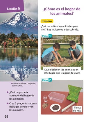 ¿Cómo es el hogar de
los animales?
Exploro
¿Qué necesitan los animales para
vivir? Los invitamos a descubrirlo.
◆
◆ ¿Qué te gustaría
aprender del hogar de
los animales?
◆
◆ Crea 3 preguntas acerca
del lugar donde viven
los animales.
Parque Nacional Conguillío,
sur de Chile.
Paso 2
Paso 1
¿Qué obtienen los animales en
este lugar que les permite vivir?
Tierra
de hoja
Lección 5
68
 