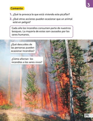 Comento
1. ¿Qué te provoca lo que está viviendo este picaflor?
2. ¿Qué otras acciones pueden ocasionar que un animal
esté en peligro?
Cada año los incendios consumen parte de nuestros
bosques. La mayoría de estos son causados por los
seres humanos.
¿Cómo afectan los
incendios a los seres vivos?
¿Qué descuidos de
las personas pueden
ocasionar incendios?
79
 