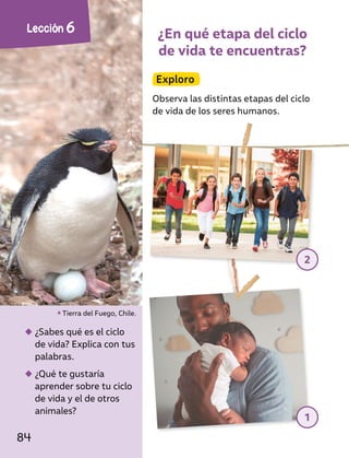 ¿En qué etapa del ciclo
de vida te encuentras?
Exploro
Observa las distintas etapas del ciclo
de vida de los seres humanos.
◆
◆ ¿Sabes qué es el ciclo
de vida? Explica con tus
palabras.
◆
◆ ¿Qué te gustaría
aprender sobre tu ciclo
de vida y el de otros
animales?
Tierra del Fuego, Chile.
2
1
Lección 6
84
 