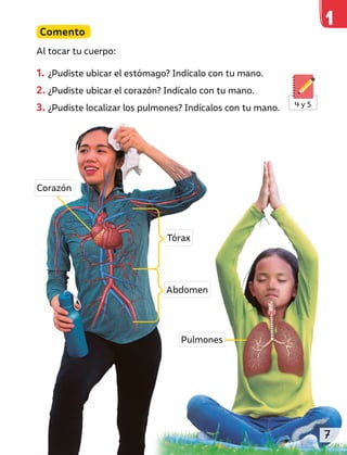 Comento
Al tocar tu cuerpo:
1. ¿Pudiste ubicar el estómago? Indícalo con tu mano.
2. ¿Pudiste ubicar el corazón? Indícalo con tu mano.
3. ¿Pudiste localizar los pulmones? Indícalos con tu mano. 4 y 5
Tórax
Abdomen
Pulmones
Corazón
7
 