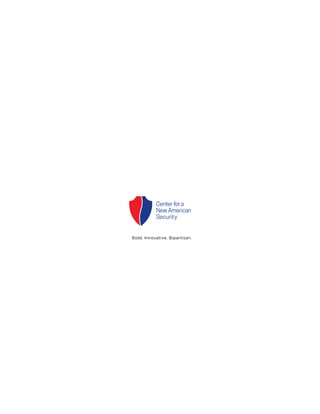 Cnas report open-sourcesoftware | PDF