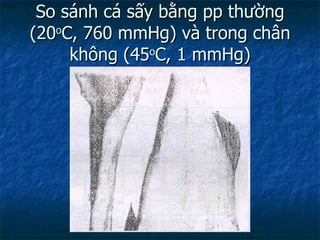 So sánh cá sấy bằng pp thường (20 o C, 760 mmHg) và trong chân không (45 o C, 1 mmHg) 