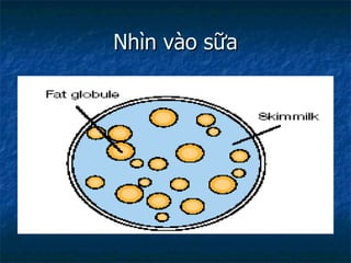 Nhìn vào sữa 