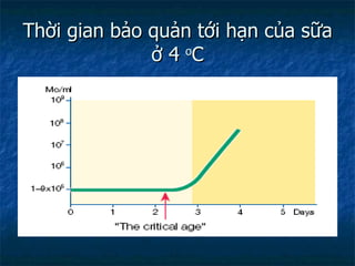Thời gian bảo quản tới hạn của sữa ở 4  o C 