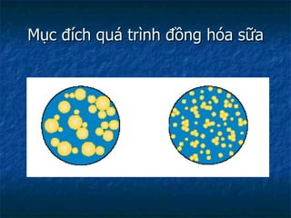 Mục đích quá trình đồng hóa sữa 