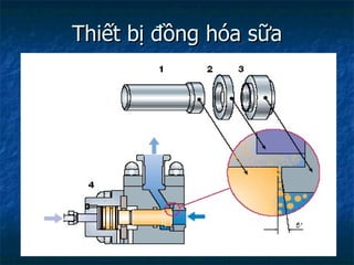 Thiết bị đồng hóa sữa 
