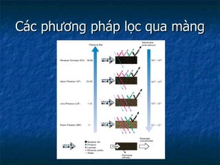 Các phương pháp lọc qua màng 