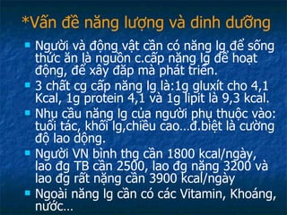 *Vấn đề năng lượng và dinh dưỡng Người và động vật cần có năng lg để sống thức ăn là nguồn c.cấp năng lg để hoạt động, để xây đăp mà phát triển. 3 chất cg cấp năng lg là:1g gluxít cho 4,1 Kcal, 1g protein 4,1 và 1g lipit là 9,3 kcal. Nhu cầu năng lg của người phụ thuộc vào: tuổi tác, khối lg,chiều cao…đ.biệt là cường độ lao dộng. Người VN bình thg cần 1800 kcal/ngày, lao đg TB cần 2500, lao đg nặng 3200 và lao đg rất nặng cần 3900 kcal/ngày Ngoài năng lg cần có các Vitamin, Khoáng, nước… 