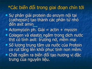 *Các biến đổi trong giai đoạn chín tới Sự phân giải protein do enzym nội tại (cathepsin) tạo thành các phân tử nhỏ đến axít amin Actomyozin ph. Giải = actin + myozin Colagen và elastin ngâm trong dịch nước thịt có tính axit: trương nở, mềm mại Số lượng trung tâm ưa nước của Protein co rút tăng lên khôi phục tính non mềm. Chất ngấm ra biến đổi tạo hương vị đặc trưng của nguyên liệu. 