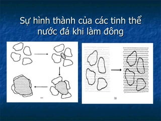 Sự hình thành của các tinh thể nước đá khi làm đông 