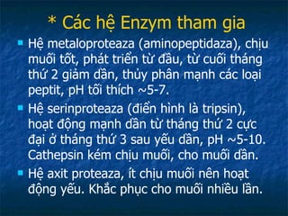 * Các hệ Enzym tham gia Hệ metaloproteaza (aminopeptidaza), chịu muối tốt, phát triển từ đầu, từ cuối tháng thứ 2 giảm dần, thủy phân mạnh các loại peptit, pH tối thích ~5-7. Hệ serinproteaza (điển hình là tripsin), hoạt động mạnh dần từ tháng thứ 2 cực đại ở tháng thứ 3 sau yếu dần, pH ~5-10. Cathepsin kém chịu muối, cho muối dần. Hệ axit proteaza, ít chịu muối nên hoạt động yếu. Khắc phục cho muối nhiều lần.  
