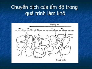 Chuyển dịch của ẩm độ trong  quá trình làm khô 